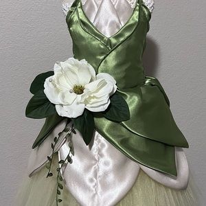 Princess Tiana tutu costume